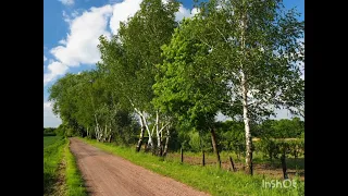 Мин - авыл баласы.Р.Мөхәммәтҗанова.Укый З.Ситдыйкова