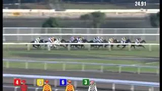 2013 Oriental Watch Sha Tin Trophy (HK Group 2)