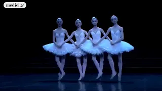 El lago de los cisnes Tchaikovsky   Danza de los pequeños cisnes