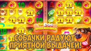 ИГРАЮ ВО ВСЕ ДОГ ХАУСЫ / ШИКАРНАЯ ВЫДАЧА В DOG HOUSE MEGAWAYS / ФУЛЛСКРИН В MULTIHOLD