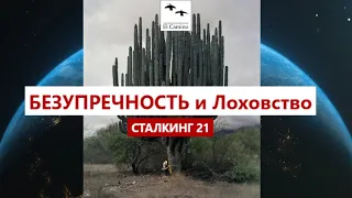 БЕЗУПРЕЧНОСТЬ и Лоховство