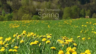 Petter Thomassen - Spring (Relaxing and soothing instrumental)