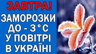 ПОГОДА НА 10 ТРАВНЯ - ПОГОДА НА ЗАВТРА