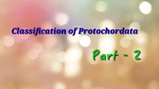 Classification of ProtoChordata. Part - 2