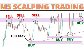 Best M5 Scalping Trading Strategy For Beginners 2022