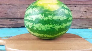 Stop Motion Cooking   Make Beetle Salad from Watermelon ASMR Mukbang Funny Videos 4K