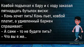 💎Сидят,Значит,Муж И Жена...Большой Сборник Смешных Анекдотов,Для Супер Настроения!