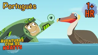 Aventuras do Caribe | Temporada 3 [episódios completos] Aventuras com os Kratts