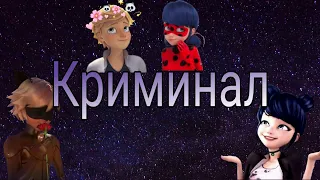 Леди Баг и Супер-Кот // Клип "Криминал" - Open kids