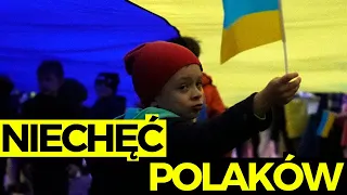 Polacy MAJĄ DOŚĆ Ukraińców?! Eksperci tłumaczą NIECHĘĆ