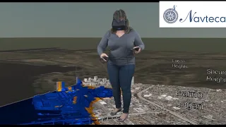 Immersive Visualization for Disaster Applications