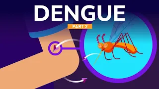 Treatment and Prevention Against Dengue