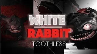 [HTTYD] Toothless edit || White rabbit