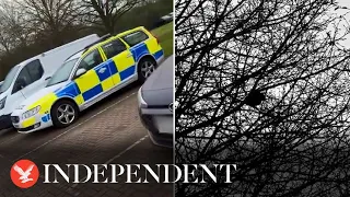 Bird mimics police siren sound as it sits in tree next to police car