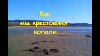 Коп на Днепре. как мы крестовики копали .поиск монет.