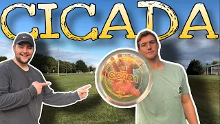 Discraft's Brand New Fairway Driver | Discraft Cicada Disc Review