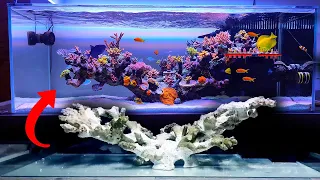 SHALLOW REEF TANK - floating reef aquarium setup - Seafriendlyreef