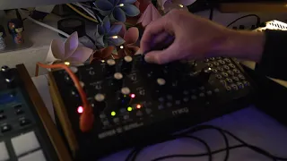 Moog Mother 32 Arpeggiator