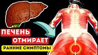 Вот РАННИХ  очевидных ПРИЗНАКОВ того, что ваша ПЕЧЕНЬ отмирает! Многие даже НЕ догадываются об этом.