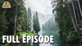 Wild America | S8 E2 'Evergreen' | Full Episode | FANGS