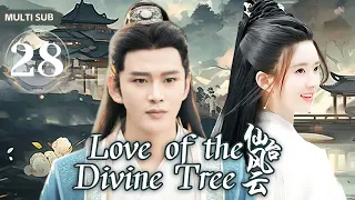 MUTLISUB【 Love of the Divine Tree/仙台风云】 28 💋傲娇王爷不近女色，直到遇上美貌的郡主，傲娇王爷一时爽，谁知追妻路慢慢，做我的女人，是唯一的选择💐#赵露思#黄宥明