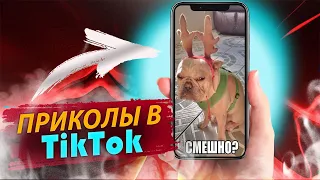 ТИК ТОК ПРИКОЛЫ | Tik Tok memes | Тест на психику | Чудики из тик ток | тик ток лучшее