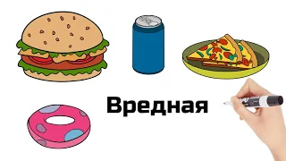 Еда. Завтрак. Обед. Ужин. Видеословарь. Learn russian. Russisch lernen.