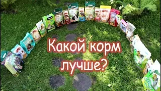 Каким кормом лучше кормить животных?