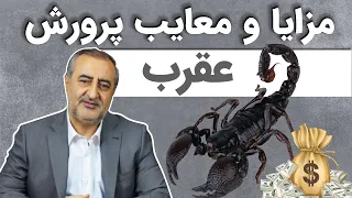 مزایا و معایب پرورش عقرب (Advantages & disadvantages of breeding scorpion)