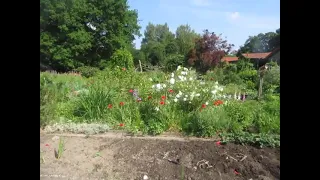 Im Pagelsschen Garten am 24. Mai 2024