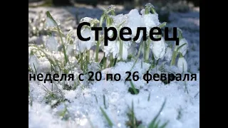 Стрелец таро прогноз на неделю с 20 по 26 февраля 2023 года.