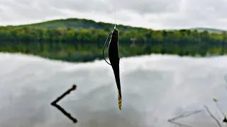 THE SMALLIES DESTROYED THIS LURE!!! Creek And River!