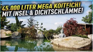 45.000 Liter MEGA KOITEICH mit INSEL! Teichbau mit DICHTSCHLÄMME!