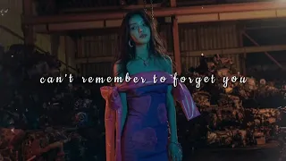 shakira, rihanna - can't remember to forget you (slowed + reverb)