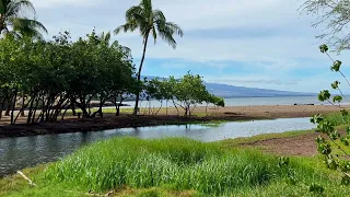 Lunchtime in Kawaihae 2 of 5  - Island Horizon Videos 1444