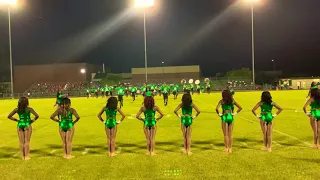 Peabody Magnet High School Marching Stampede of Sound 2019 Field Show