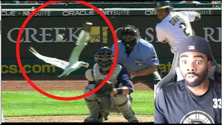 THE BIRD STOLE THE PITCH! Craziest "1 in a Trillion" Moments in Sports History REACTION