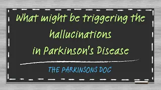 What might be triggering the hallucinations in Parkinson's disease.