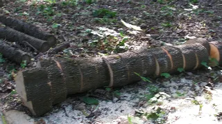 2013.05.24 Харків, парк Кой-кого біля Гепа штрассе