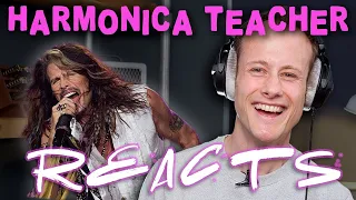 Harmonica Teacher reacts to Aerosmith - Pink (Steven Tyler)