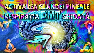 Activarea Glandei Pineale prin Respirația DMT ~ Vindecare ~ Eliberare Traume ~ Renașterea