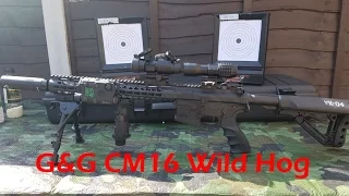 G&G CM16 Wild Hog 13.5" Shooting Review