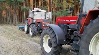 Talerzowanie & Gruberowanie 2015 - 2x |ZTS 16245|Zetor 12245|Lubuskie