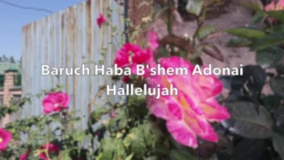 Baruch Haba B'shem Adonai  (Matthew 23:39)