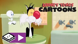 Looney Tunes Cartoons | Pips Muffins | Boomerang Sverige