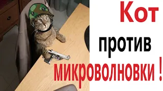 Приколы! КОТ ПРОТИВ МИКРОВОЛНОВКИ - МЕМЫ!!! Смешные видео от – Доми шоу!