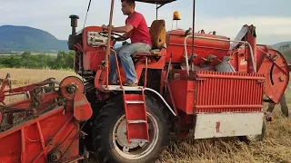 Köla Combi Special mähdrescher 1965 (harvesting in 2021)