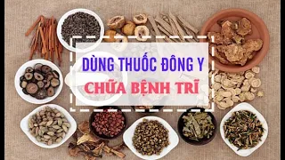 Đông y điều trị bệnh trĩ