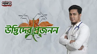 উদ্ভিদের প্রজনন।। 5G RELOADED EXTRA | Sadiqur Rahman Sadab | Battles of Biology