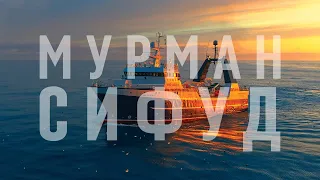 Мурман СиФуд